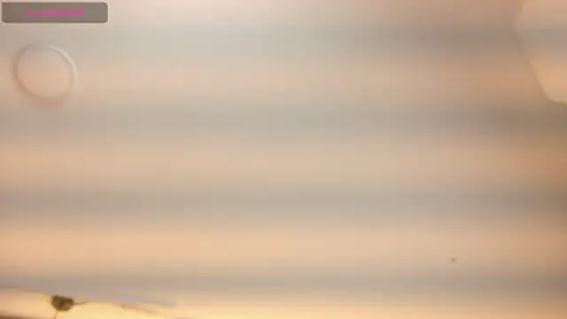 RashelANDCerverus live sex cam