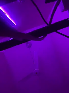 Borokalasona's cam snapshot