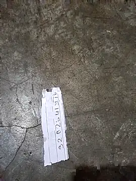 Payal950's cam snapshot