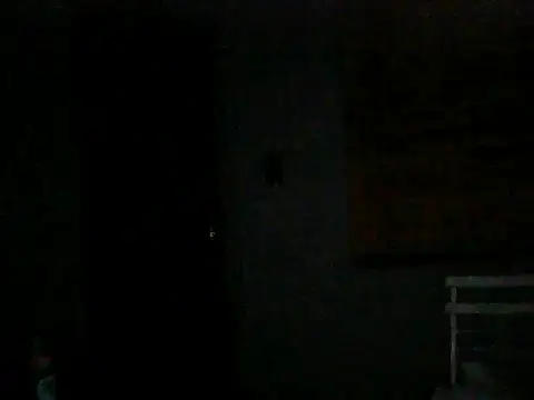 Master2000K's cam snapshot