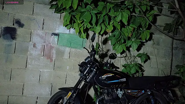 hotboys1924 live sex cam