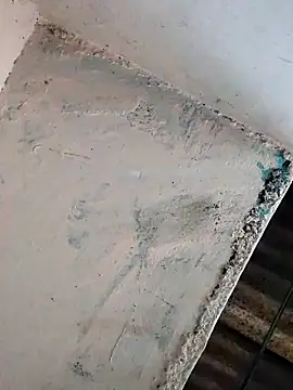 Bhavna8080's cam snapshot