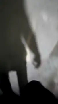 mendelicius live sex cam