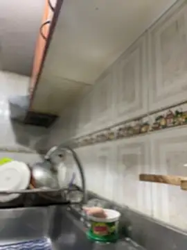 Carola-Ross's cam snapshot