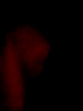 DIANAKUTE's cam snapshot