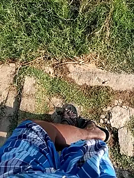 dolphiinn's cam snapshot