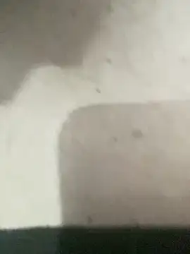 RicarBer live sex cam