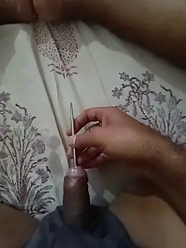 sids2891 live sex cam