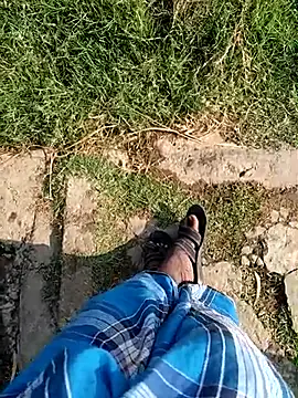 dolphiinn live sex cam