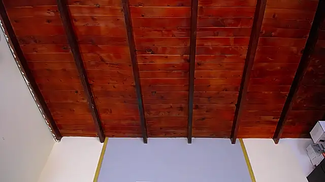 Dante_Ferrara2025's cam snapshot