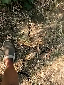 himvilohi08 live sex cam