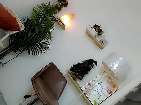 Dream_katty live sex cam