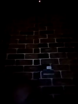 salimbasha's cam snapshot