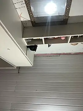 Vih222's cam snapshot