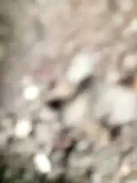 raju423204's cam snapshot