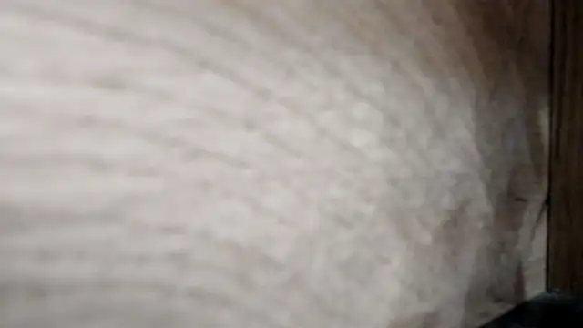 classy_medea's cam snapshot