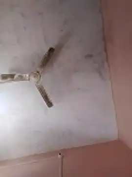 Seema_ji12's cam snapshot