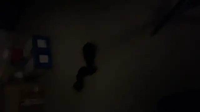 CoupleHotLatinBigAss live sex cam