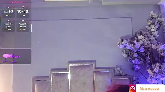 Maaracooper's cam snapshot