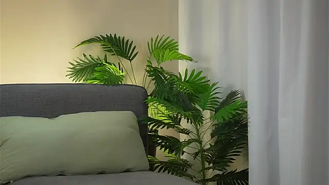 akumadadrive live sex cam