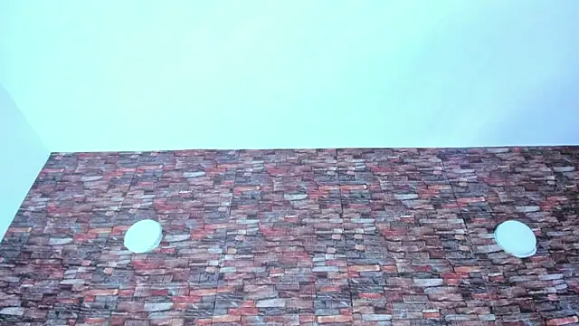 sophie_pariss's cam snapshot