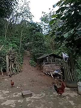 Girl_cutee's cam snapshot