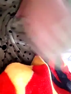 Tota_sexi live sex cam