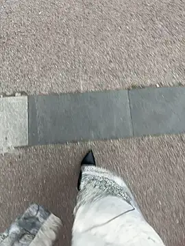 petoys's cam snapshot