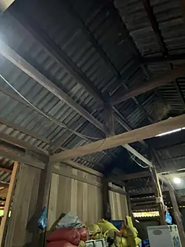 ThiHa003's cam snapshot