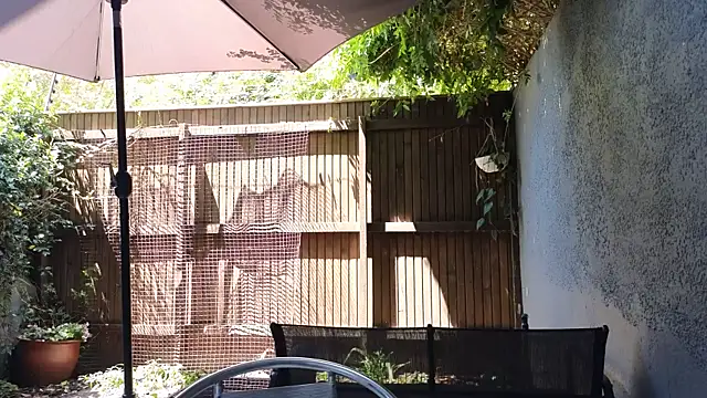 TopsyWilde live sex cam