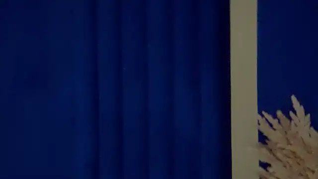 NoraFoxes's cam snapshot