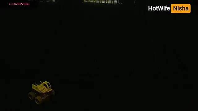 HotWifeNisha's cam snapshot