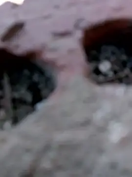 Hema0Hema live sex cam