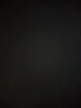 Shinlelove31 live sex cam