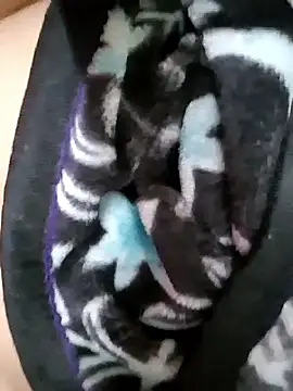 aashwariyasinha69's cam snapshot