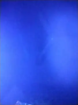 qaarlyfogosa's cam snapshot