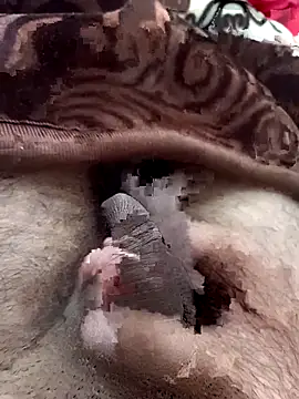 wickson_1 live sex cam