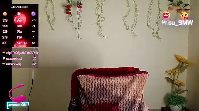 Prisu_BMW's cam snapshot