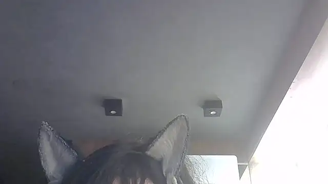 SkinnyKitten live sex cam