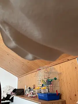 mewKate's cam snapshot