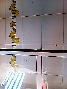 Minoch-arab's cam snapshot