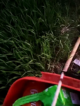 ThethunderPo's cam snapshot