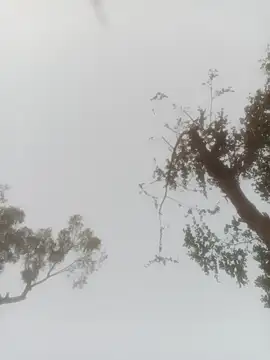 Pinki_rajak's cam snapshot