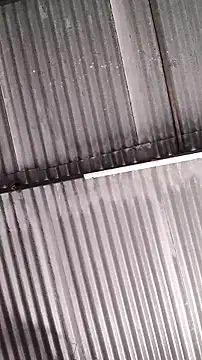 mendelicius live sex cam