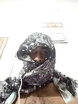 siddBus live sex cam