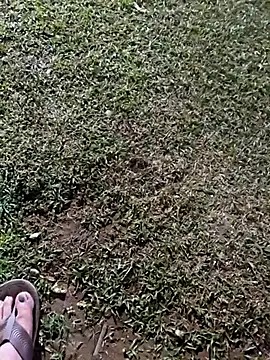 Rahul_India live sex cam