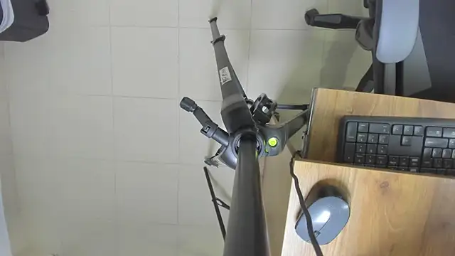 bella_bread's cam snapshot