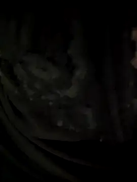 Butterfly_Lily's cam snapshot