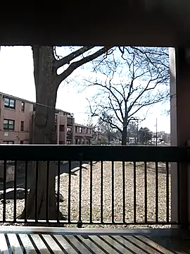 SITHANDRAH's cam snapshot