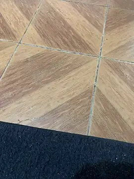 envolvemteX's cam snapshot